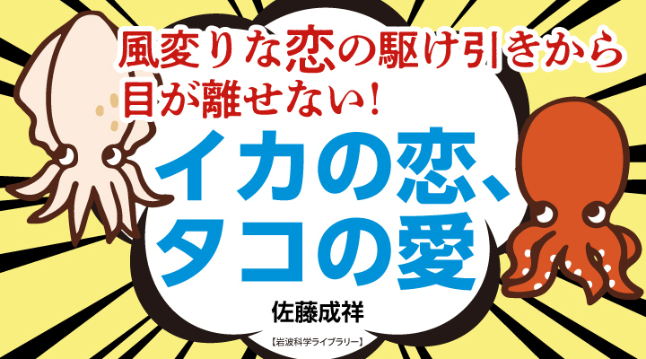 ブロンテ全集　全12巻(※第7巻除く) 11巻セット　岩波書店 ブロンテ全集 全12巻(※第7巻除く) 11巻セット 岩波書店